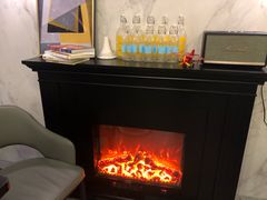 -房东的猫宠物生活馆