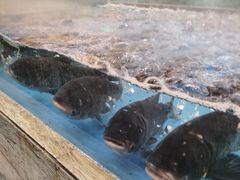 -翠清酒家(万丰路店)