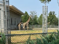 -石家庄市动物园