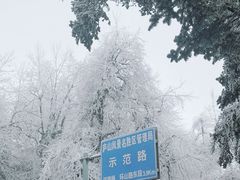 -庐山风景名胜区