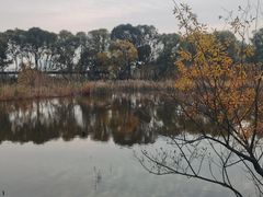 -西湖风景区-江洋畈生态公园