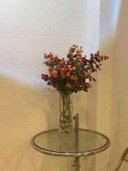 -MOZZ木子造型