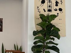 -素咫咖啡CLIFEROSE(新安店)
