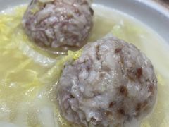 -丁老爷子苏香圆