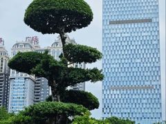 -南宁南湖公园