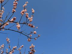 -自然谷恐龙园