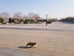-中国北方国际射击场