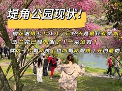 -堤角公园