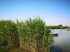 -昆山城市生态森林公园