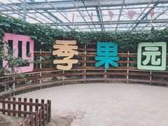 -上海都市菜园