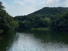 -白马涧龙池景区