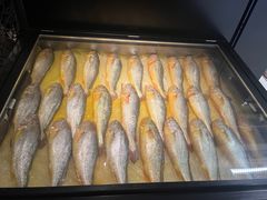 -荣家黄鱼面(前滩太古里店)