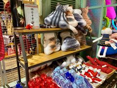 -猫咪博物馆(顶澳仔猫街店)