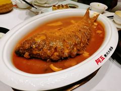 -阿五黄河大鲤鱼(海尚店)