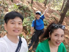 -铁山坪森林公园