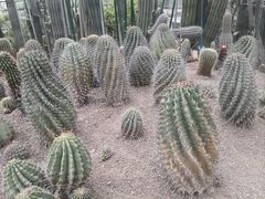 -南山植物园