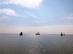 -贡湖湾湿地公园