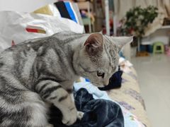 -贝康宠物医院·犬猫全科·小动物特色诊疗中心(东环路店)