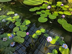 -国家植物园南园