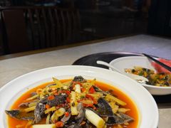 -新渝城·川菜·火锅(区庄店)