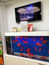 -圣瑞医疗上海圣恩儿科门诊部