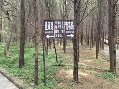-红螺寺