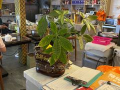 大堂-陆记鹅庄·潮汕菜·狮头鹅(大仟里店)