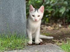 -东华大学(松江校区)