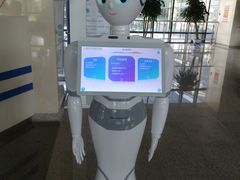 -首都医科大学附属北京天坛医院