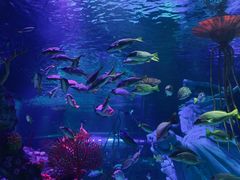 -沈阳海洋探索中心