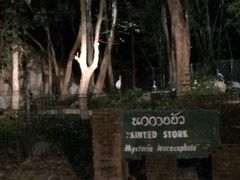 -清迈夜间动物园