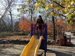 -阳台山自然风景区