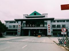 -打洛口岸