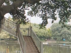 -晓港公园