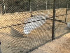 -秦皇岛野生动物园