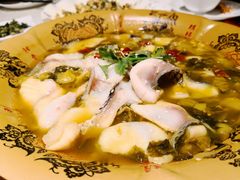 -阿英煲(凉城路店)