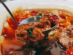 泡椒水煮牛肉-和平馆·地道港澳茶餐厅(西门口店)