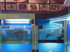 水产区-千岛湖小鱼儿·淳安匠心农家菜