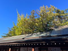 -北海道神宫