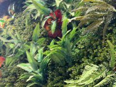 -味之绝热血美蛙鱼火锅(中坝店)