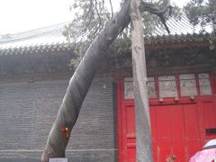 -关林