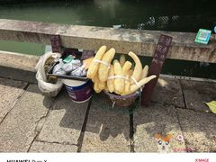-丝绸小镇荻港古村