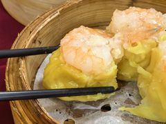 -金苑海鲜酒家(新港中路店)