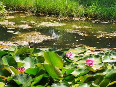 -长白岛森林公园