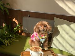 -Peet's 皮爷咖啡(海雅缤纷城店)