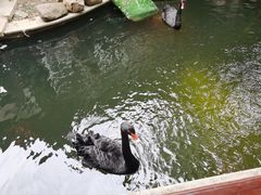 -湖鲜楼