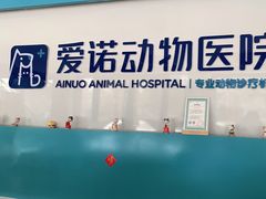 -爱诺动物医院(崂山店)