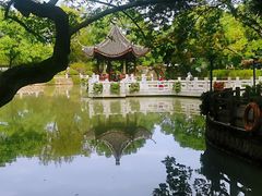 -汇龙潭