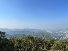 -黄埔油麻山森林公园