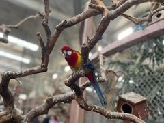 -南宫五洲植物乐园